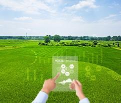 宣城市郎溪县十字镇“数智十字